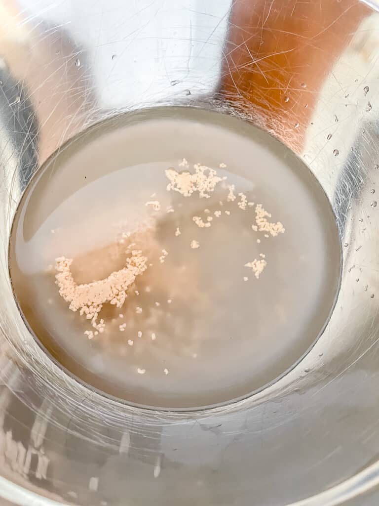 Water, Sugar and Yeast in a bowl