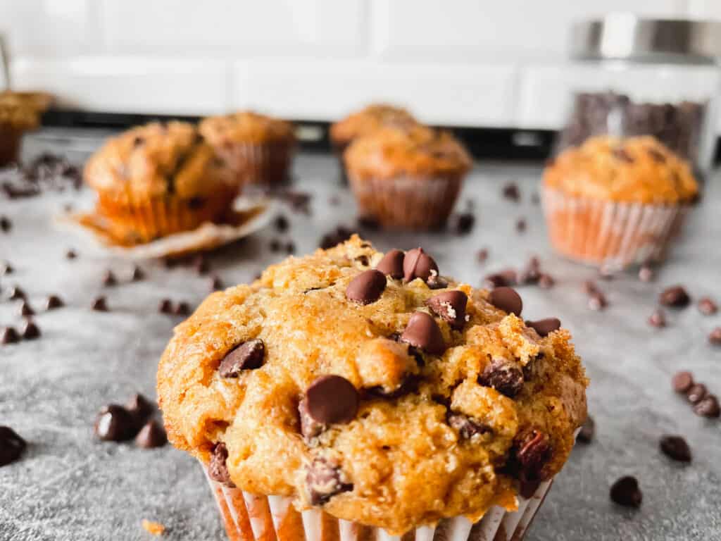 close up of a sour cream chocolate chip muffin